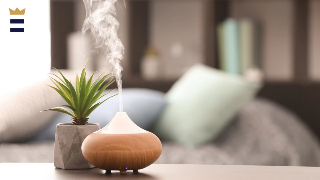 Why Every Australian Home Should Have Diffusers