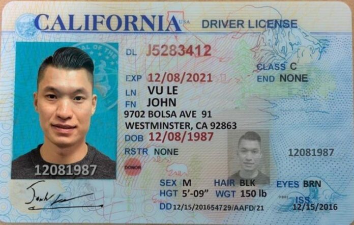 FAKE Drivers License