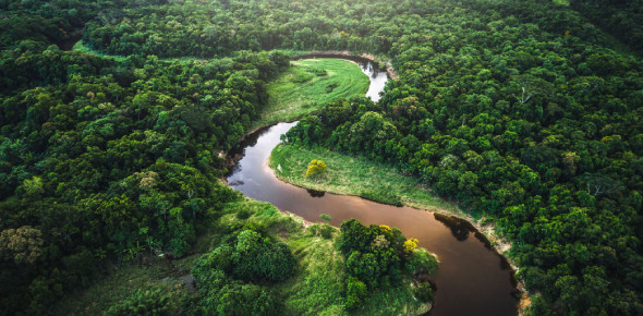 Amazon Wheel of Fortune Quiz - Can You Name the Rainforest That is So Big?