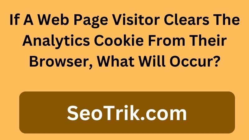 If A Web Page Visitor Clears The Analytics Cookie From Their Browser, What Will Occur?