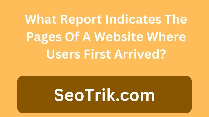 What Report Indicates The Pages Of A Website Where Users First Arrived?